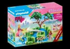 Les Princesses|PLAYMOBIL Pique-nique royal
